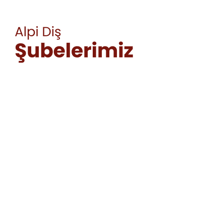 alpi diş hastaneleri şubelerimiz